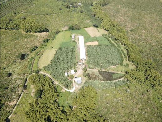 Ferme à Montenegro, Quindío Department