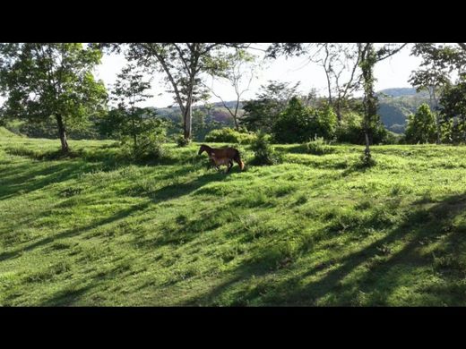 ﻣﻨﺰﻝ ﺭﻳﻔﻲ/ ﺑﻴﺖ ﻤﺰﺭﻋﺔ ﻓﻲ Victoria, Departamento de Caldas