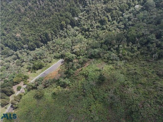 ‏קרקע ב  מדיין
, Medellín