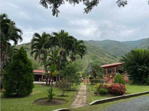 Элитный дом, Vijes, Departamento del Valle del Cauca