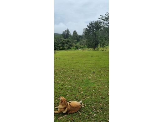 Αγροτεμάχιο σε Retiro, Departamento de Antioquia