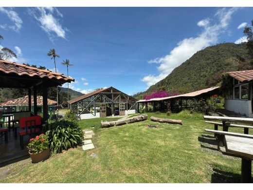 ﻓﻨﺪﻕ ﻓﻲ Pereira, Departamento de Risaralda