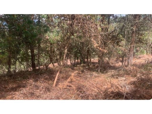 ‏קרקע ב  מדיין
, Medellín