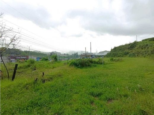 Manizales, Departamento de Caldasの土地