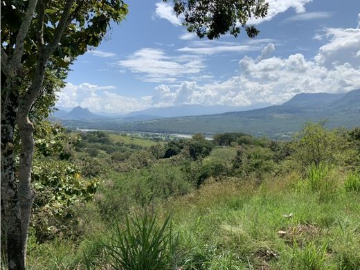 Arsa Fredonia, Departamento de Antioquia