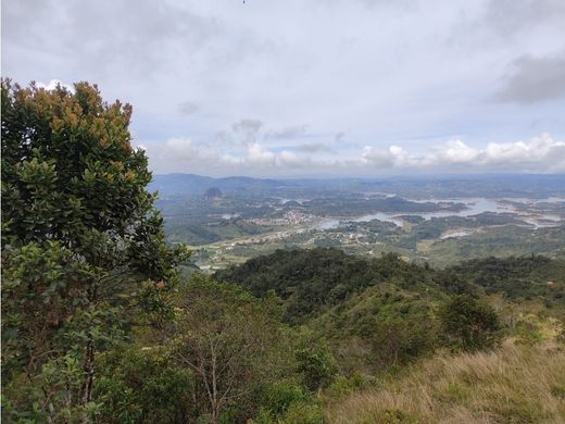 토지 / Guatapé, Departamento de Antioquia