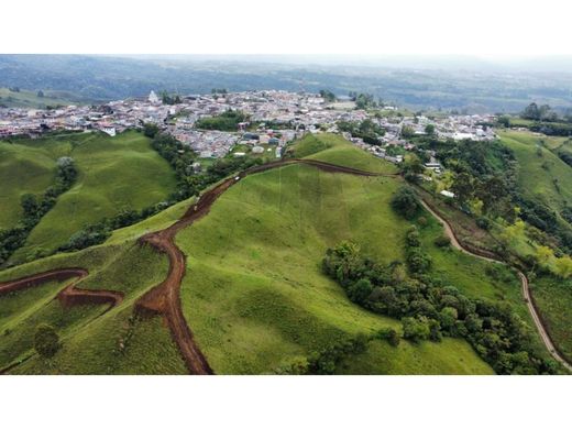 أرض ﻓﻲ Filandia, Quindío Department