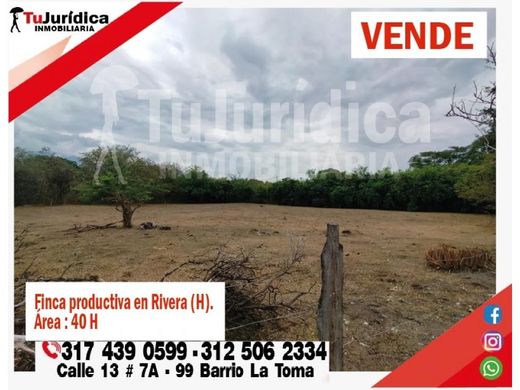 ‏בתים כפריים או חוות ב  Rivera, Departamento del Huila