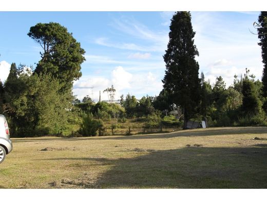 地皮  Guarne, Departamento de Antioquia