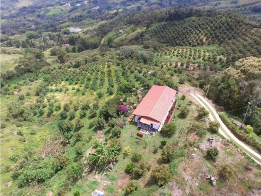 ‏קרקע ב  מדיין
, Medellín