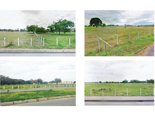 地皮  Palmira, Departamento del Valle del Cauca