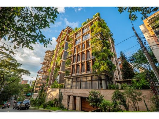 Daire Medellín, Departamento de Antioquia