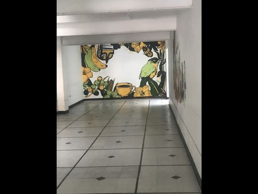 호화 저택 / 메데인, Medellín