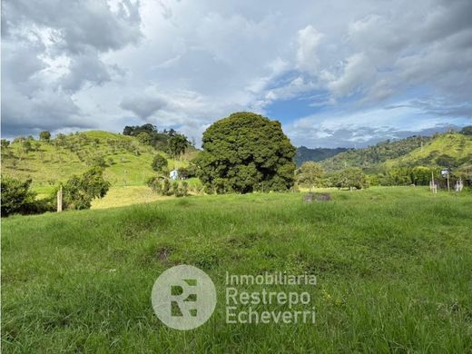 ‏קרקע ב  Manizales, Departamento de Caldas