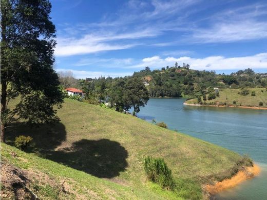 ‏קרקע ב  El Peñol, Yarumal