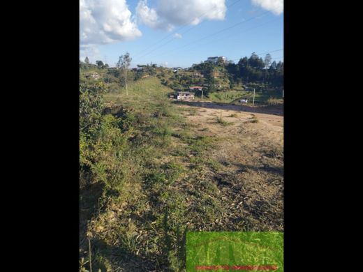 Land in Rionegro, Departamento de Antioquia