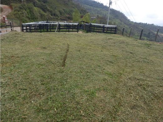 Grundstück in Alejandría, Departamento de Antioquia