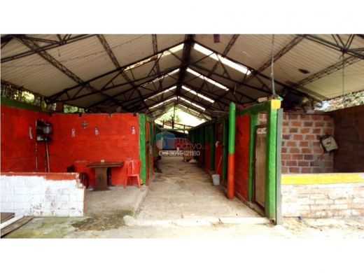 Terrain à Sabaneta, La Estrella