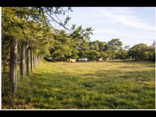 Terreno - Montería, Departamento de Córdoba