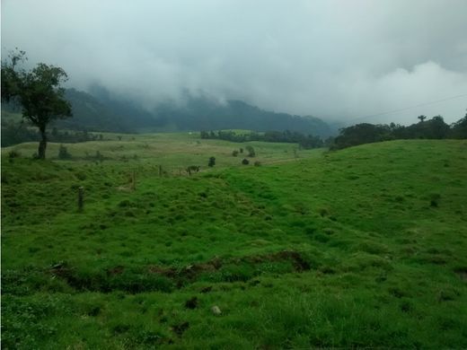 村舍/农舍  Villamaría, Departamento de Caldas