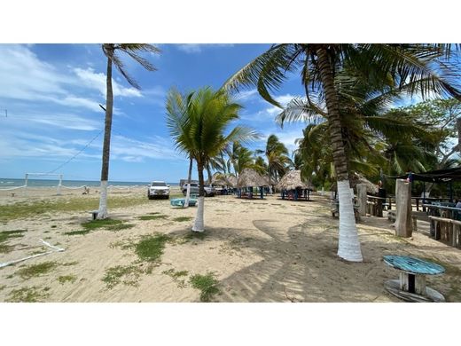 Terrain à Santiago de Tolú, Departamento de Sucre