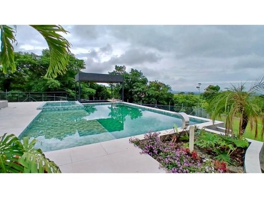 Rustik ya da çiftlik El Cerrito, Departamento del Valle del Cauca