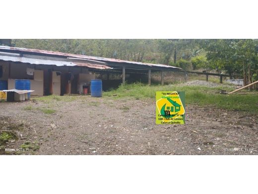 Rustik ya da çiftlik Caicedonia, Departamento del Valle del Cauca