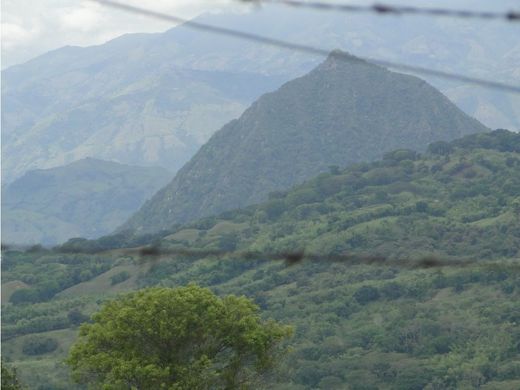 Arsa Támesis, Departamento de Antioquia