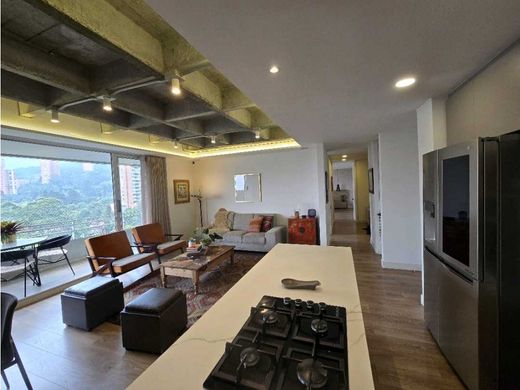 Daire Medellín, Departamento de Antioquia