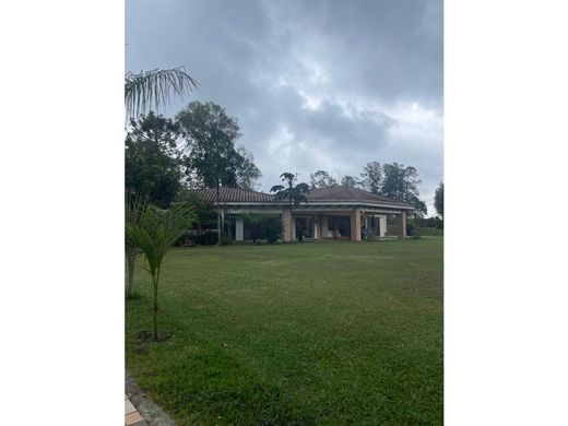 Rustik ya da çiftlik Rionegro, Departamento de Antioquia