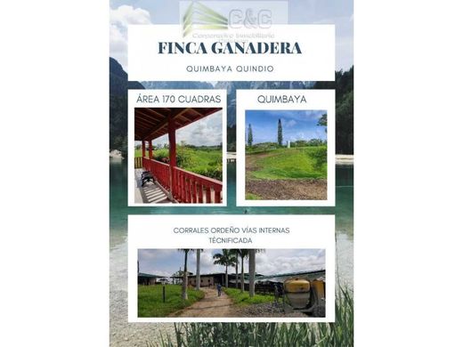 전원/농가 / Quimbaya, Quindío Department