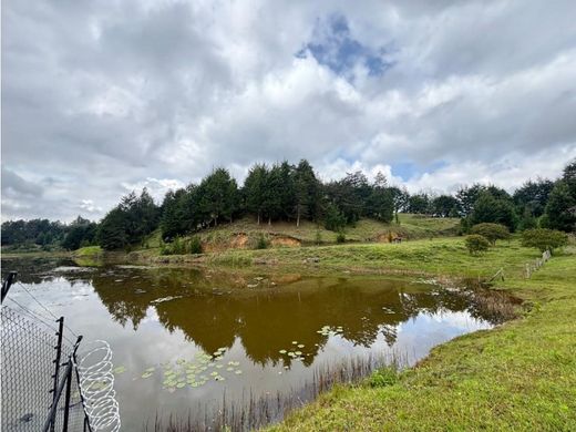 Terreno en Rionegro, Departamento de Antioquia