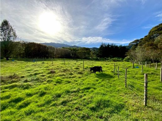 地皮  Retiro, Departamento de Antioquia