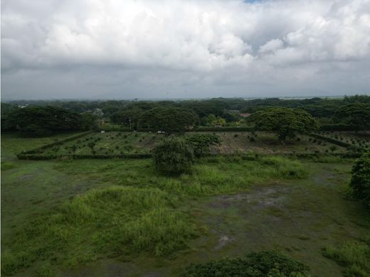 Arsa Cali, Departamento del Valle del Cauca