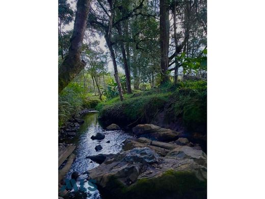 منزل ﻓﻲ Envigado, Departamento de Antioquia