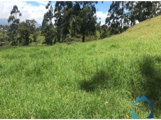 Участок, Carmen de Viboral, El Carmen de Viboral