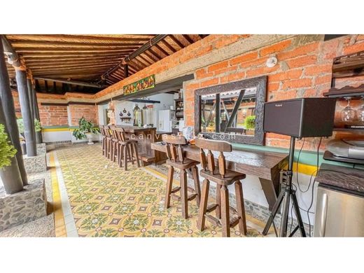 ﻣﻨﺰﻝ ﺭﻳﻔﻲ/ ﺑﻴﺖ ﻤﺰﺭﻋﺔ ﻓﻲ ميديلين, Medellín