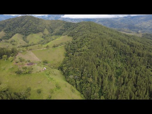 Arsa Gómez Plata, Departamento de Antioquia