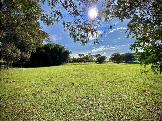 Rionegro, Departamento de Antioquiaの土地