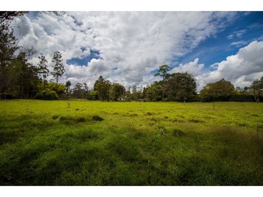 Land in Rionegro, Departamento de Antioquia