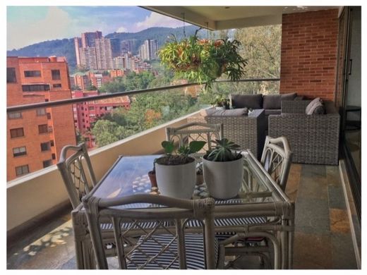 Daire Medellín, Departamento de Antioquia