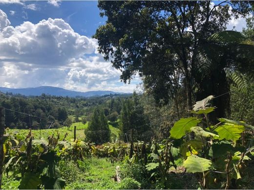 Land in Rionegro, Departamento de Antioquia