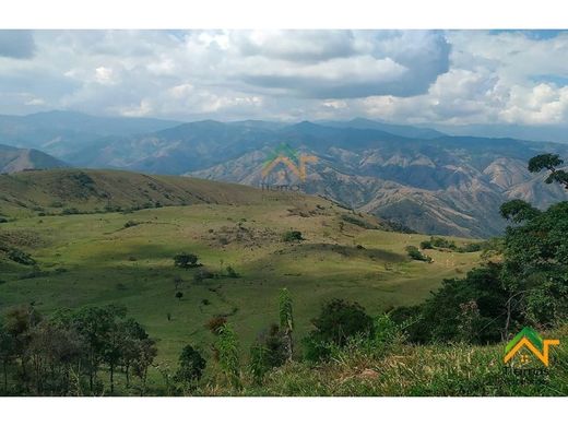 Ferme à Betulia, Departamento de Santander