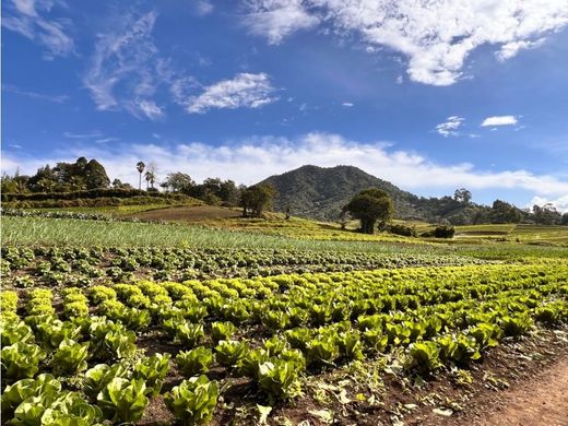Terreno en Carmen de Viboral, El Carmen de Viboral