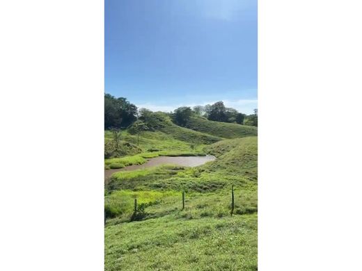 Αγροτεμάχιο σε Puerto Triunfo, Departamento de Antioquia