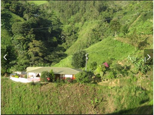 Сельский Дом, Pijao, Quindío Department