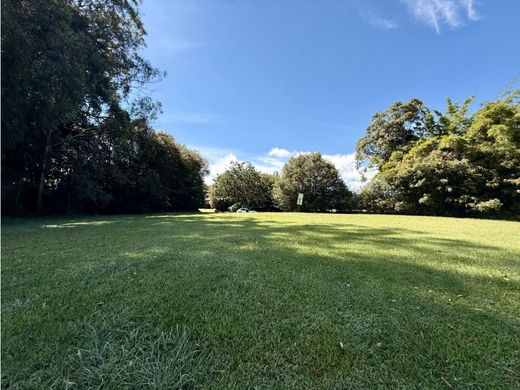 Terreno - Rionegro, Departamento de Antioquia