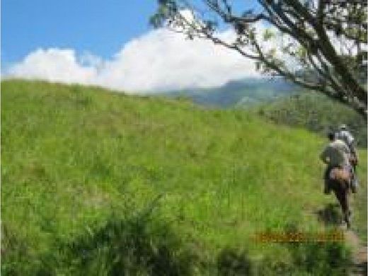 Rustykalny lub Wiejski w Toro, Departamento del Valle del Cauca