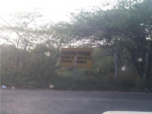 토지 / Cartagena, Cartagena de Indias