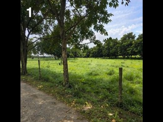 Land in Montería, Departamento de Córdoba